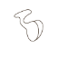 gehörgangsform_mit_cymba