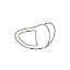 halbconcha-reifenform