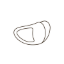 halbconcha-reifenform