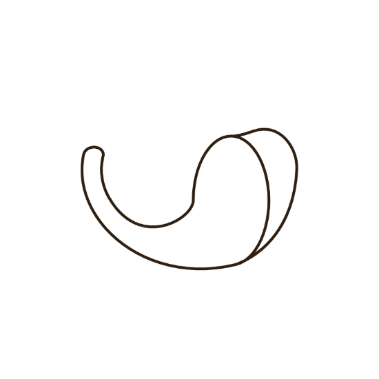 halbspangenform